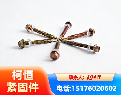 呼和浩特六角钻尾丝